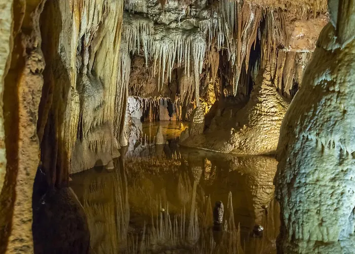 In - Istrien 9914 ポレッチ